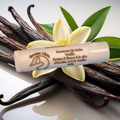 Vanilla lip balm